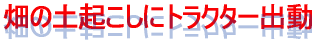 ���̓y�N�����Ƀg���N�^�[�o��
